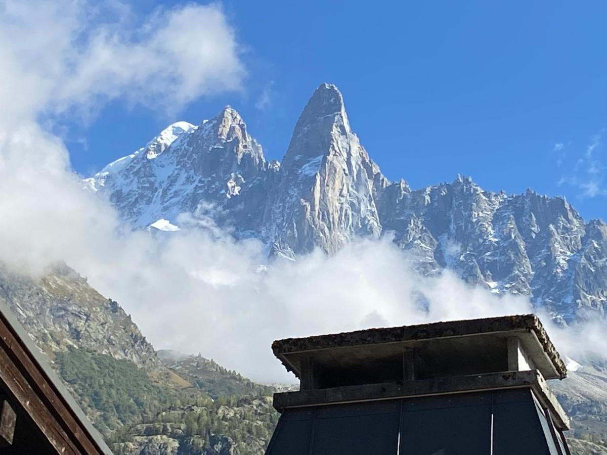 Chalet Pleine Vue & Spa 霞慕尼 外观 照片