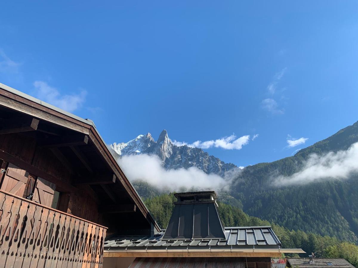Chalet Pleine Vue & Spa 霞慕尼 外观 照片