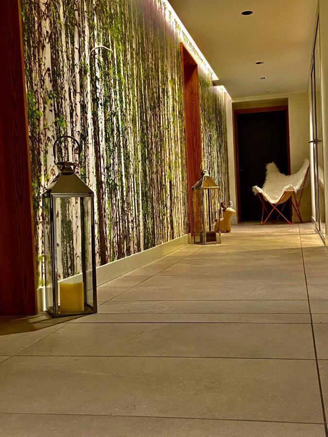 Chalet Pleine Vue & Spa 霞慕尼 外观 照片