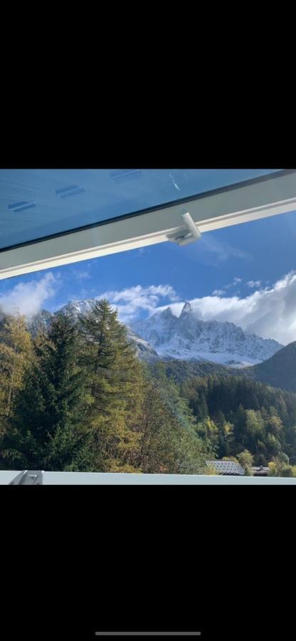 Chalet Pleine Vue & Spa 霞慕尼 外观 照片