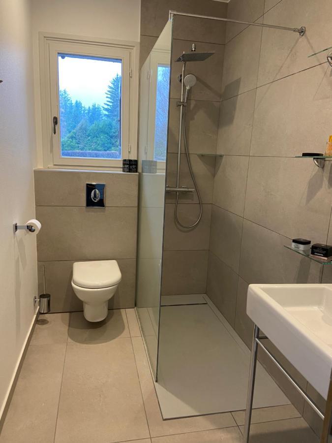 Chalet Pleine Vue & Spa 霞慕尼 外观 照片