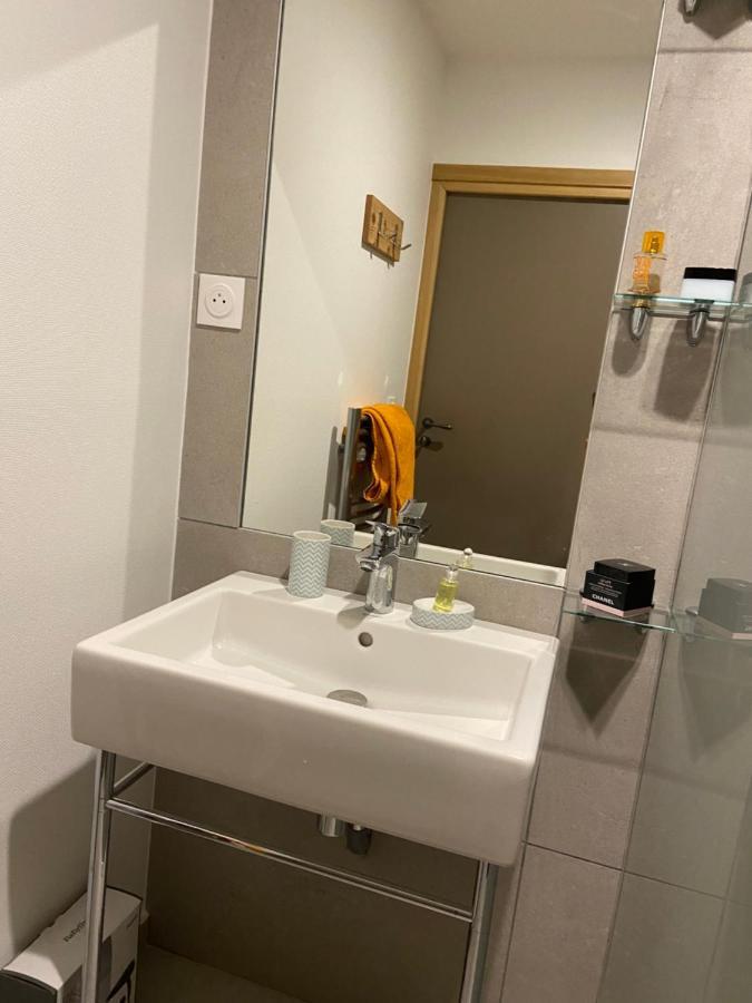 Chalet Pleine Vue & Spa 霞慕尼 外观 照片