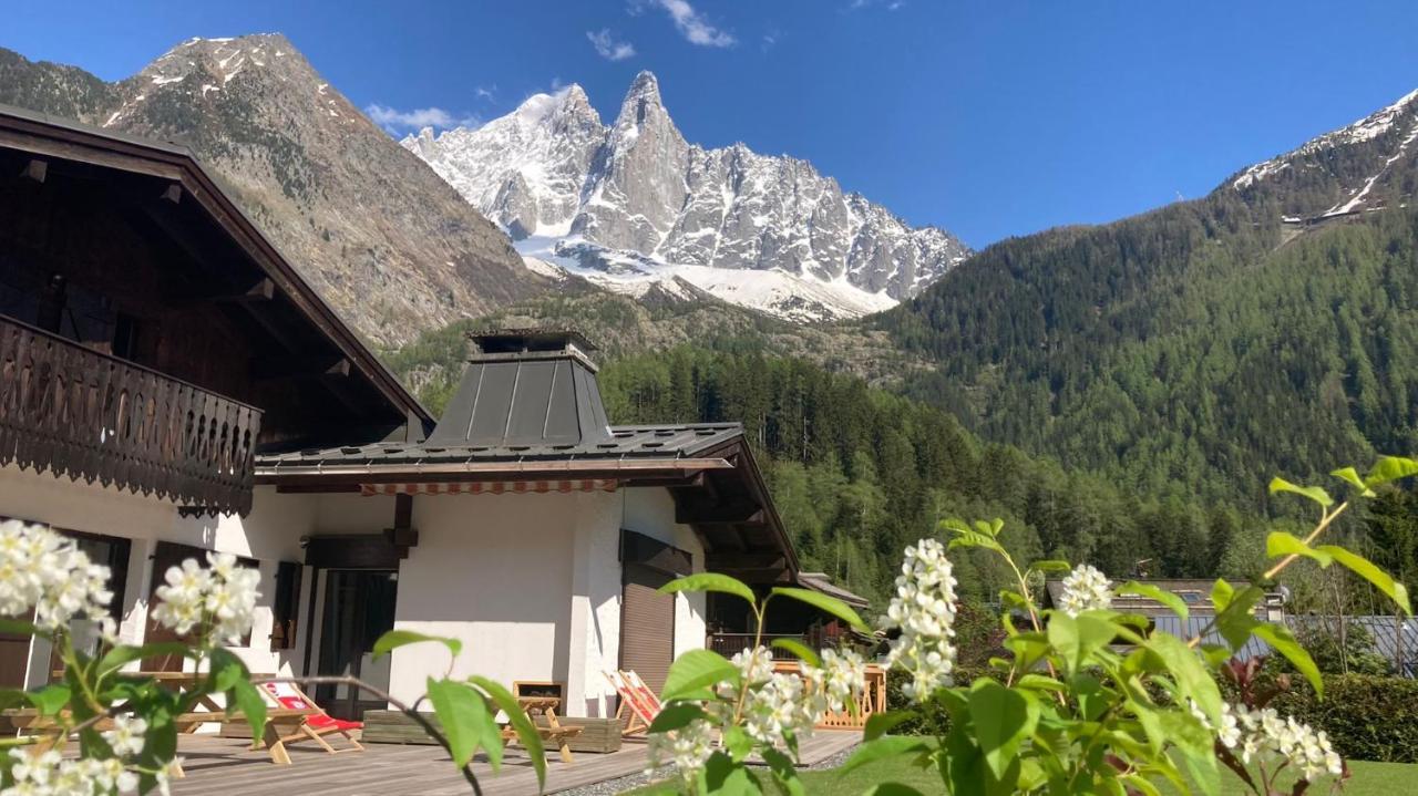 Chalet Pleine Vue & Spa 霞慕尼 外观 照片
